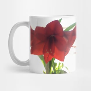 Amaryllis Mug